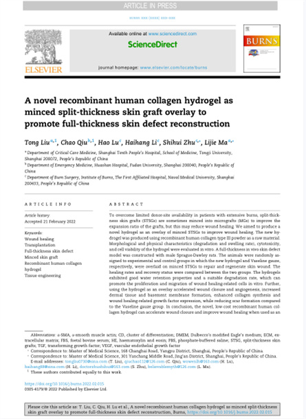 2022 动物研究，重组胶原用于微粒皮移植覆盖